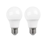 Raydan Home Pack 2 Bombillas LED Estándar E27 16W Equi.100W 1521lm 15000H Raydan Home