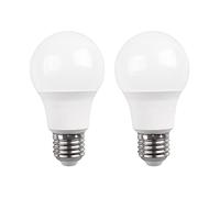 RAYDAN Pack 2 Bombillas LED Estándar E27 16W Equi.100W 1521lm 15000H Home