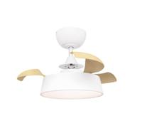 RAYDAN Ventilador de Techo Retráctil Breeze 55cm Motor DC 20W Silencioso Función Inversa con Luz LED y Mando a Distancia