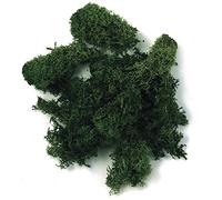 Rayher 8503213 Islandia - Musgo de Musgo Natural (100 g, Islandia), Color Verde Oscuro