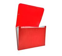 Raylu Paper® - Carpeta clasificadora tipo acordeón para documentos con 12 compartimentos, archivador de plástico opaco con separadores para oficina (Rojo)