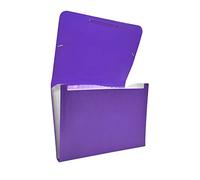 Raylu Paper® - Carpeta clasificadora tipo acordeón para documentos con 12 compartimentos, archivador de plástico opaco con separadores para oficina (Violeta)