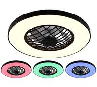 Reality Leuchten Ventilador con luz LINKÖPING R64462102, negro mate, metal, RGB, 20W, 2700-6500K, 2500 lúmenes, mando a distancia incluido, regulable, con luz nocturna