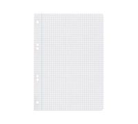 Recambio liderpapel din a5 100 hojas 75 gr cuadro 6mm con margen 6 taladros - RC07