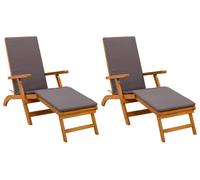 Recliner y tumbona plegable 2 pcs Gris 55 x 146 x 91 cm