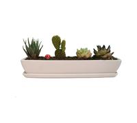 Rectangular Larga para Suculentas con de Cerámica, 1 Juego de 11.1x2.36x1.77 pulgadas, Cerámica Blanca Minimalista para Suculentas