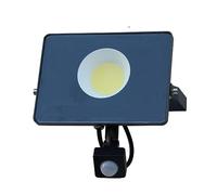Reflector LED Lámpara De Inducción PIR 30W 50W 100W Proyector Camino Pasillo Interior Y Exterior Sensor Movimiento Iluminación Inundación Garaje en el jardín(Cold White,30W)