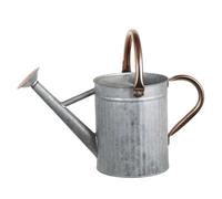 Regadera de Acero Inoxidable de 1, 3 galones/5 L - Regadera de Metal con Boquilla extraíble y 2 Asas para Plantas de Exterior e Interior, Plateada
