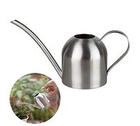 Regadera de acero inoxidable, maceta pequeña de boca larga para casa, interior, exterior, jardín, plantas suculentas, 500 ml (plateado)