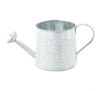 Regadera vintage retro de metal, maceta pequeña de hierro para plantas de jardín, cubo de agua, soporte decorativo para flores artificiales, maceta de estilo antiguo, compacta para interiores (El