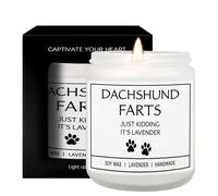 Regalos Para Mujer Velas Aromáticas Dueño De Perro Hombre Regalo Dachshund
