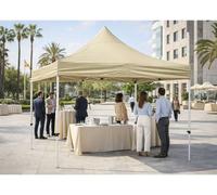 RegalosMiguel Carpa 2x2 Master - Crema