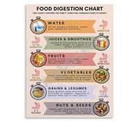 REIUAFWYGV Food Digestion Time Chart Poster Guide to How Long Foods Take to Digest Educational Wall-Art for Gut Health(Unframed,16x24inch(40x60cm))