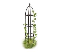 Relaxdays 10017880 - Obelisco para flores | Resistente a la Intemperie, Enredaderas y Rosas