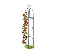 Relaxdays, 200 cm, Arco para Plantas trepadoras, Curvado, Resistente, Soporte para Enredaderas, Verde Oscuro, Acero