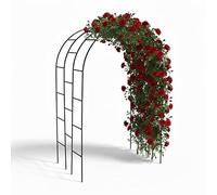 Relaxdays Arco para Rosas y trepadoras, Metal, XXL, 240x140x110 cm, Negro