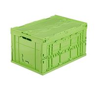 Relaxdays Caja almacenaje con tapa verde