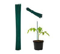 Relaxdays Cañas Bambú, Set 50 Unidades, 30x0,5 cm, Verde Oscuro | Soporte para Plantas, Alambre de Sujeción, Palos Jardín