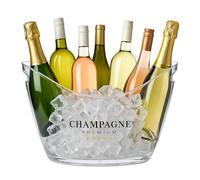 Relaxdays Cubitera para Botellas, 8L Volumen, Enfriador Bebidas, Champanera, Cava, Champán, Vino, Plástico, Transparente