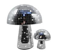 Relaxdays Set de 2 setas disco plata