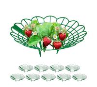 Relaxdays Soporte para Fresas, Set de 15, Protección contra Caracoles, Plástico, Rejilla Anti Putrefacción y Moho, Verde, 10 x 30 cm