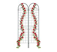 Relaxdays Soportes para Plantas, Set de 2, 220 x 50 cm, Autónomos, Enrejado Estacas, Enredaderas, Guía Trepadoras, Verde