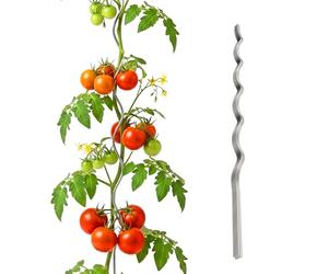 Relaxdays Varillas en Espiral para Tomates, Set de 10, 170 cm, Ø 5 mm, Acero galvanizado, Plateado