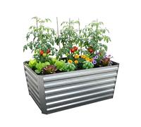 RelaxRelaxdays Huerto Elevado, Metal galvanizado, Flores, Plantas y Verduras, 60x120x60 cm, cajón Rectangular, Plateado