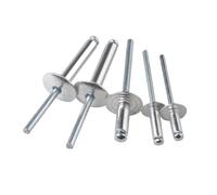 Remaches de aluminio Remache ciego Pop aleación de aluminio 2,4mm 3mm 3,2mm 5mm perno mango de hierro mandril escape remaches pop de aluminio sujetadores(Length 12mm,Silver M4 (30Pcs))