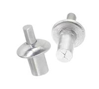 Remaches de expansión con accionamiento de martillo | Golpe perforador de cabeza de clavo de aleación de aluminio de expansión de percusión(30PCS,9mm)