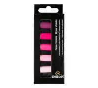 Rembrandt Estuche de pasteles suaves profesionales Rosa Violeta | 5 pasteles medios