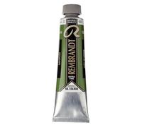 Rembrandt Óleo Pintura al óleo extrafina para artistas 40 ml - Verde vejiga 623 - Alta solidez a la luz de los pigmentos - Consistencia mantecosa - Made in the Netherlands