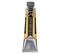 Rembrandt Talens Excelentes colores de pintura al óleo - 40 ml - 223 Amarillo de Nápoles oscuro