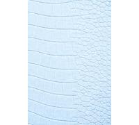 Remembering My Baby - A Journal for Love, Loss and Remembrance: Guided Prompts for Reflection and Healing - With Memory Pages, Letter Writing and ... Gift for Someone Grieving. Blue Croc Cover