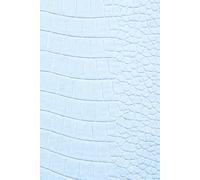 Remembering My Baby - A Journal for Love, Loss and Remembrance: Guided Prompts for Reflection and Healing - With Memory Pages, Letter Writing and ... Gift for Someone Grieving. Blue Croc Cover