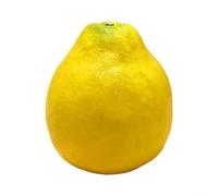 Réplica artificial de la fruta del pomelo para el estudio para los fondos de la fotografía y las configuraciones de la exhibición al por menor con diseño detallado