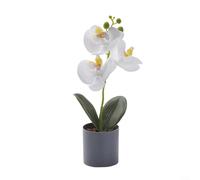 Réplica de orquídea de tallo y flor en maceta para estante de pared o colocación de esquina con profundidad visual y flujo orgánico (blanco)