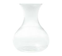 Repuesto de vidrio para Tea Maker 1,0 l Eva Solo