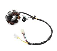 repuestos para Motocicletas para Bobina de estator para Husqvarna TE250 TE310 TE450 TC250 TC450 TC510 SMR450 SMR510 SM400R 8000A4245 8000A4257 8000A4265 80B099174