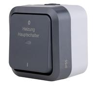 REV 0004720400 AquaStorm Interruptor principal de calefacción para habitaciones húmedas IP55, de dos polos, montado en superficie, antracita