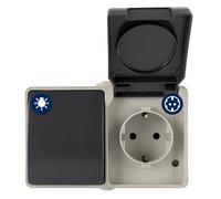 REV AquaBase - Interruptor combinado con enchufe de 2 polos, interruptor de luz A/W de 1 pin, protección IP54, color gris