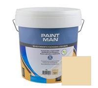 Revestimiento fachadas liso mate gris arenisca paintman 4l