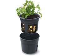 rg-vertrieb Macetero para patatas, 28 L, para verduras, patatas, 31,5 cm (400)