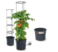 rgvertrieb Maceta para tomates Maceta para plantas de tomate Torre de cultivo de plantas con soporte de enrejado (Ø 300)