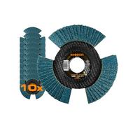 Rhodius Inox Vision Pro - Disco abrasivo de láminas para amoladora angular (10 unidades, 115 mm de diámetro, 125 mm K40 - K80), Ø 125 mm, Körnung 60, 1