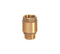 Ribiland - Válvula antirretorno latón 1"1/4 salida macho/entrada hembra - PRCAMF2 - Ribiland