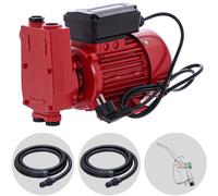 Ribimex PRKG130 - Bomba de trasiego para gasóleo + Kit dispensador