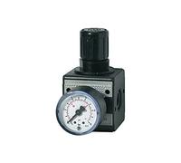 RIEGLER 100453-RB 33-10 - Regulador de presión (1 unidad)