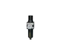 RIEGLER 100494-C 12 M-SR - Regulador de filtro multifix (depósito de metal y tubo de visión, BG 1, G 3/8, 1 unidad)