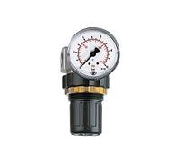 RIEGLER 100773-482.10 B - Regulador de presión "Standard mini", tuerca para panel, G 1/8, 0,2-6 bar, 1 unidad
